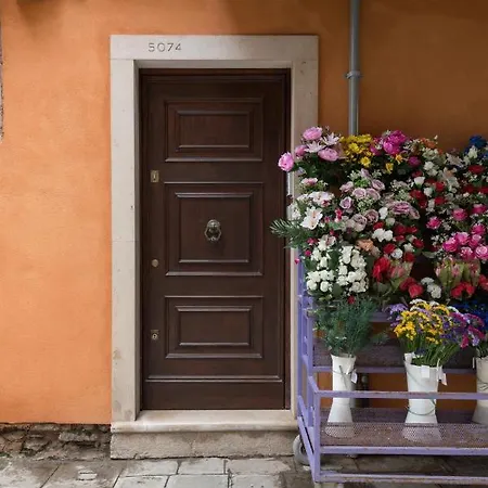 Apartment Flowery House